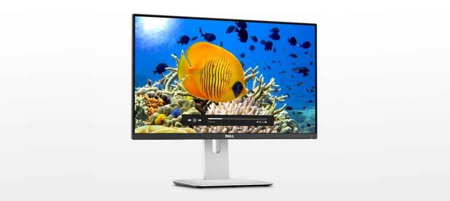 Dell Monitors - Dell Screens - Dell LCD